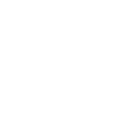 Metropolys